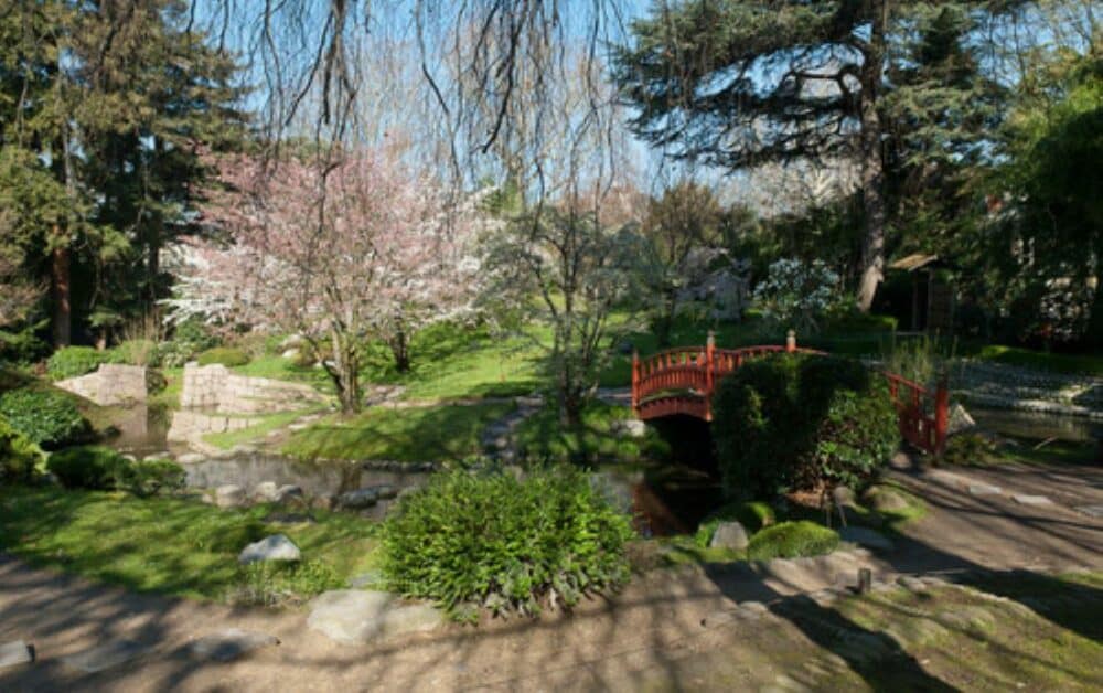 Jardin Albert Kahn, Le jardin japonais contemporain