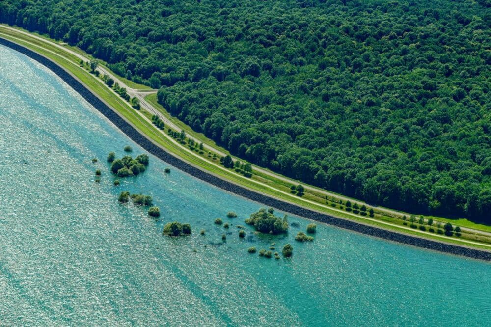 Les lacs du Parc naturel de la Forêt d’Orient, dans l’Aube (Grand Est)