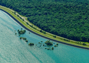 Les lacs du Parc naturel de la Forêt d’Orient, dans l’Aube (Grand Est)