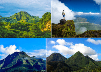 la martinique