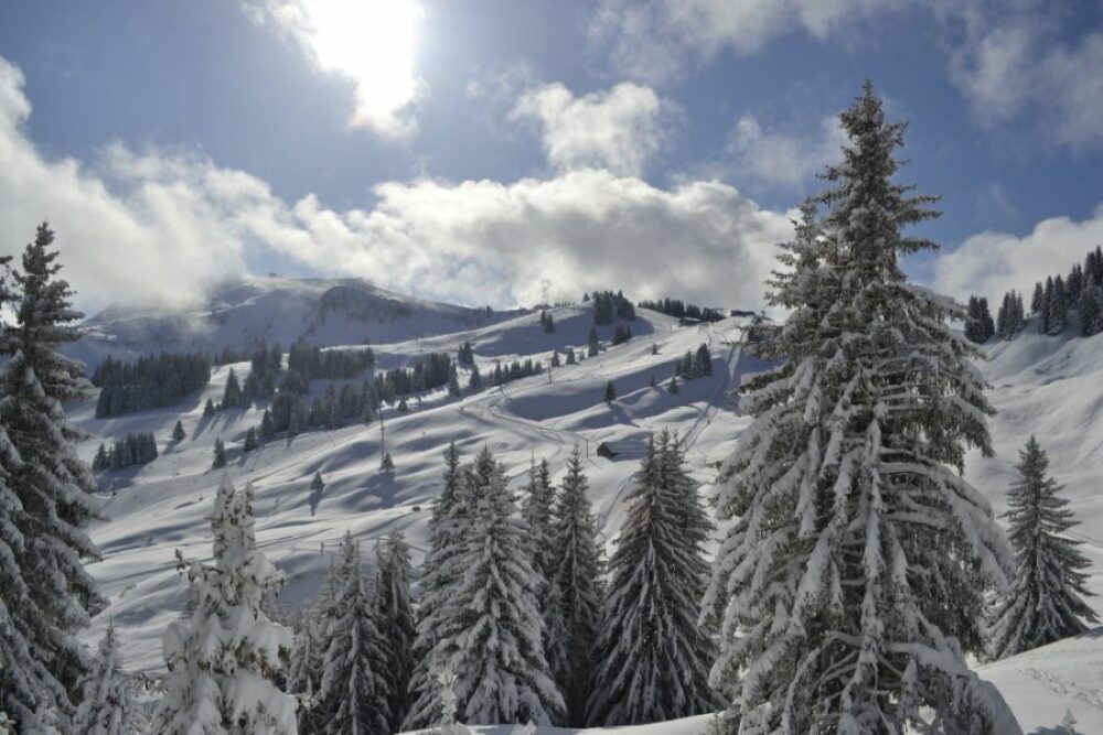 Haut-Giffre, la destination ski au cœur de la nature