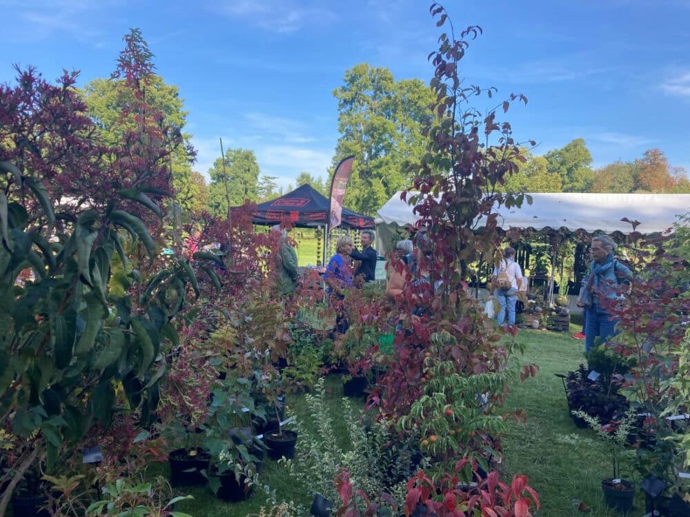 Journées des Plantes de Chantilly