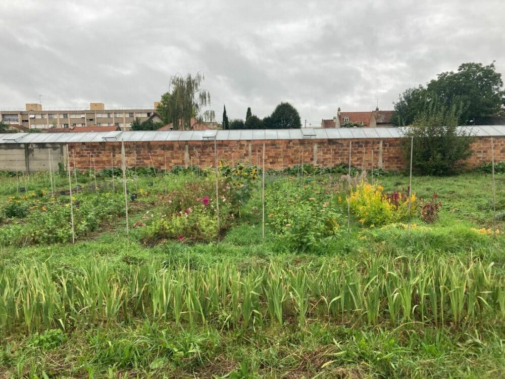 Ferme Florale Urbaine du Parc des Lilas, Vitry-sur-Seine