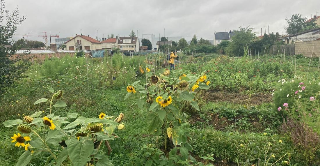 Ferme Florale Urbaine du Parc des Lilas, Vitry-sur-Seine