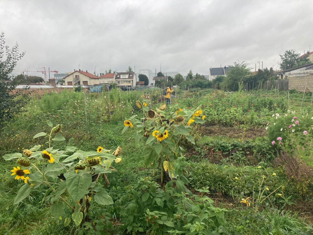 Ferme Florale Urbaine du Parc des Lilas, Vitry-sur-Seine