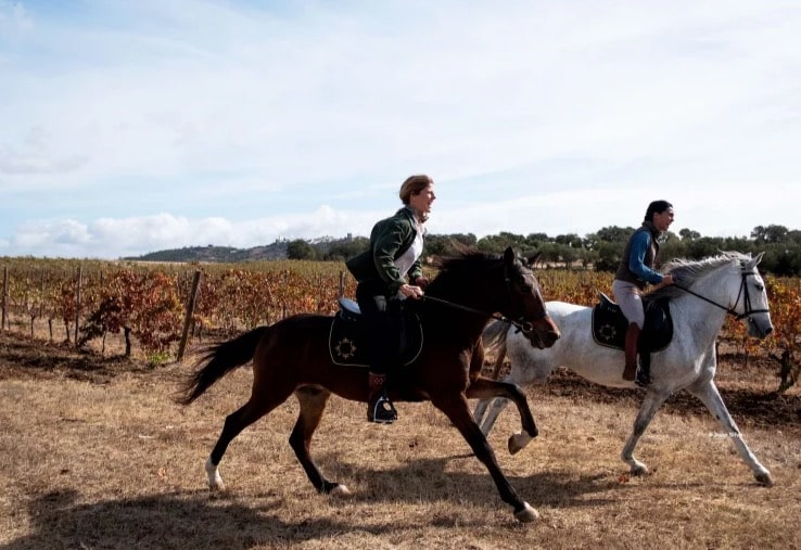 Portugal : Une nouvelle façon de découvrir ce territoire par ses routes des vins