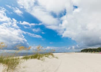 AVENTURES INOUBLIABLES DANS LE VIEUX-SUD AMÉRICAIN - MISSISSIPPI