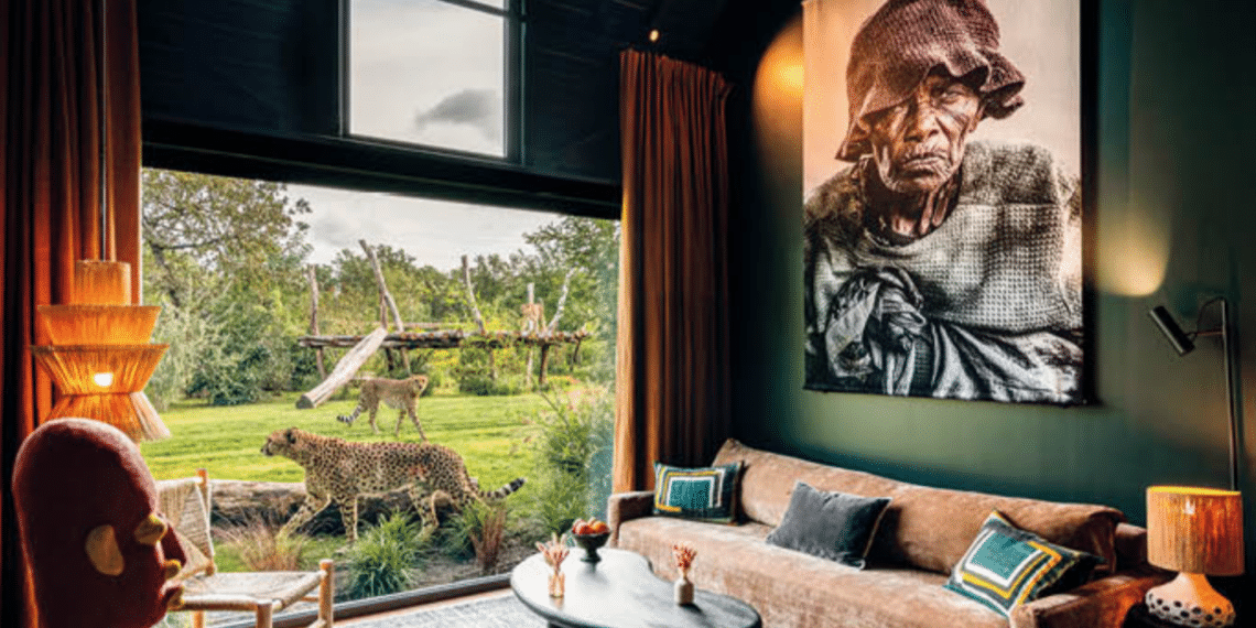 SAFARI SUITES