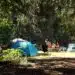 camping-nature