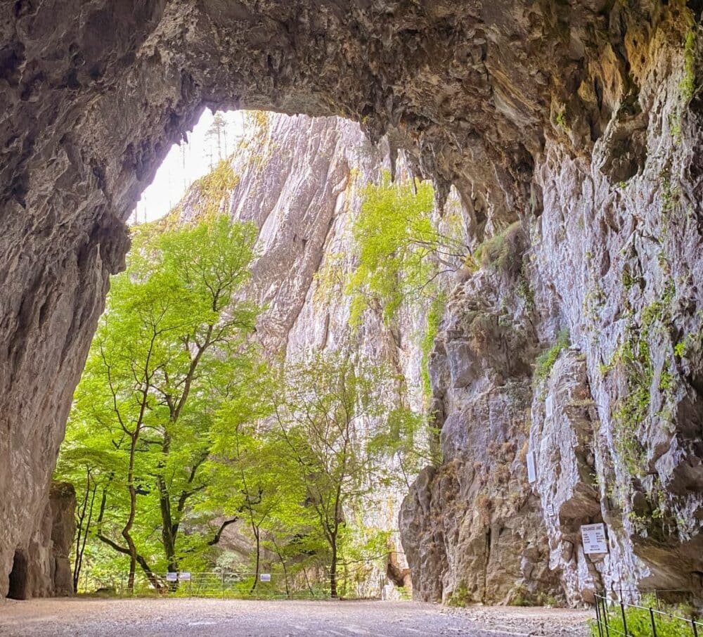 Slovénie, Grottes de Škocjan