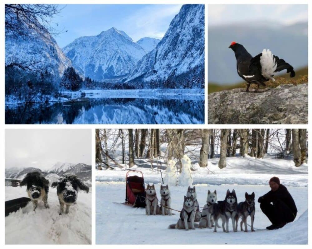 8 expériences nature & animaux en Oisans