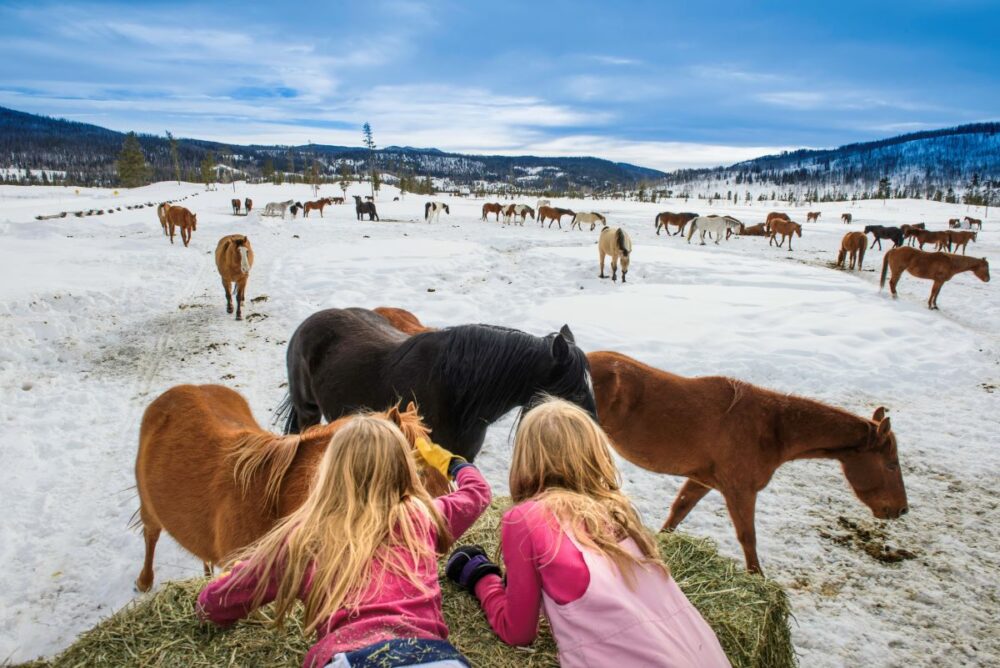 Séjourner en hiver dans les ranchs du Colorado