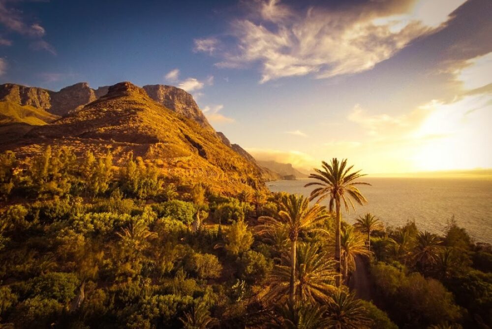 La vitamine D : Le trésor naturel des Îles Canaries