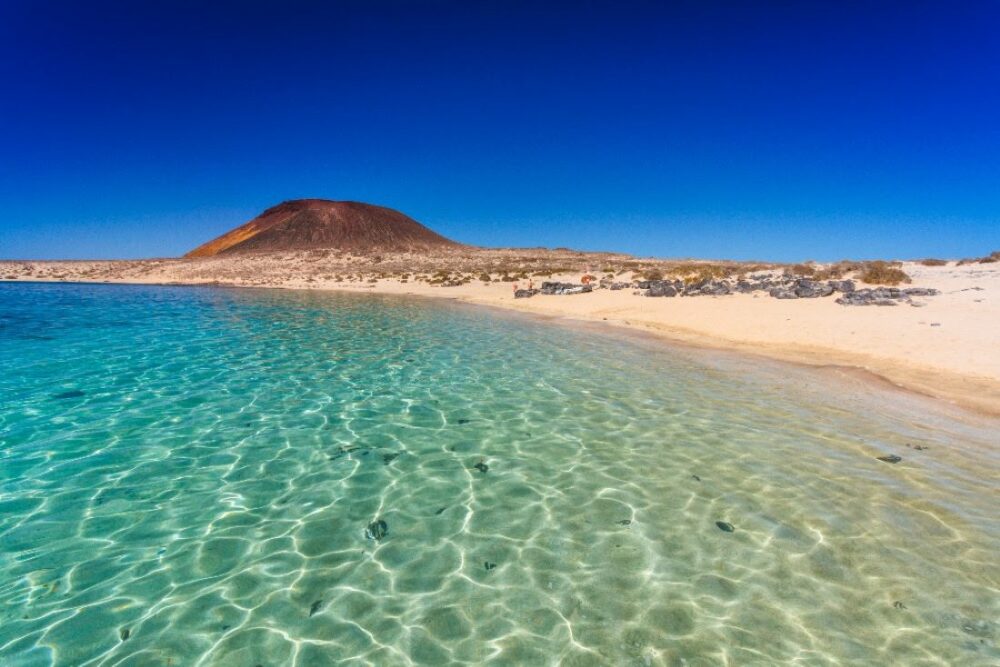 La vitamine D : Le trésor naturel des Îles Canaries