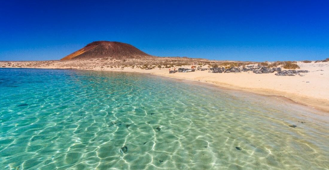 La vitamine D : Le trésor naturel des Îles Canaries