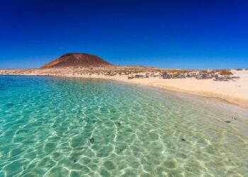 La vitamine D : Le trésor naturel des Îles Canaries