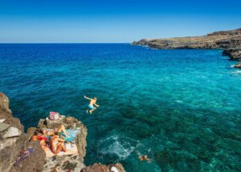 La vitamine D : Le trésor naturel des Îles Canaries