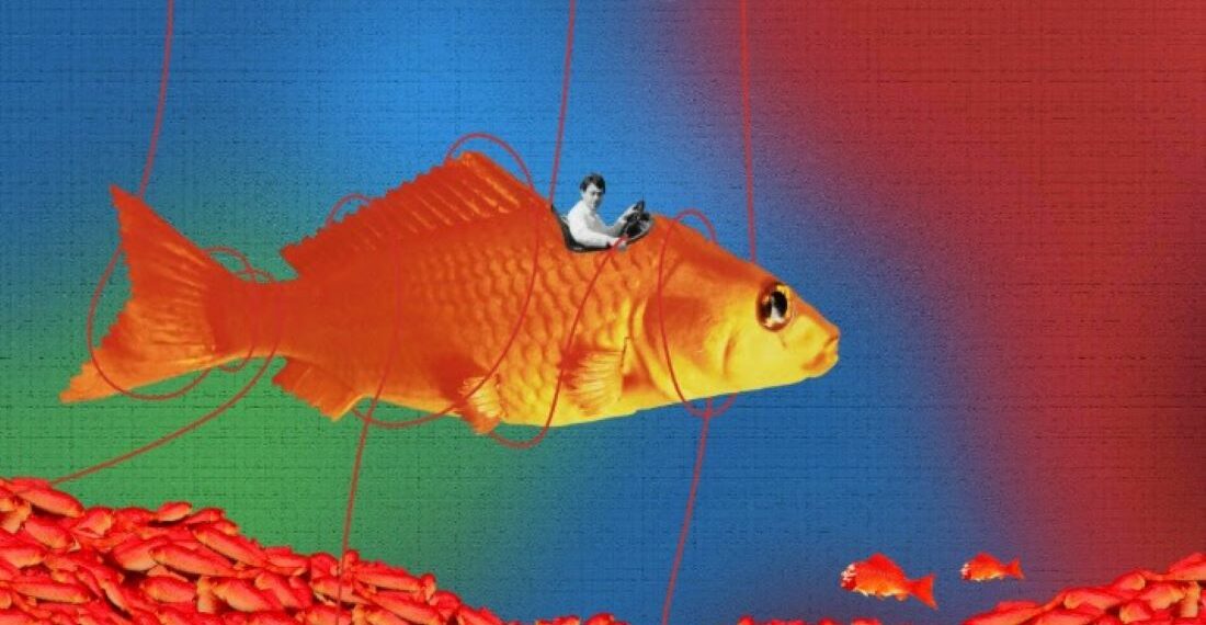 Expo : Un poisson rouge en plastique à l'Aquarium de Paris