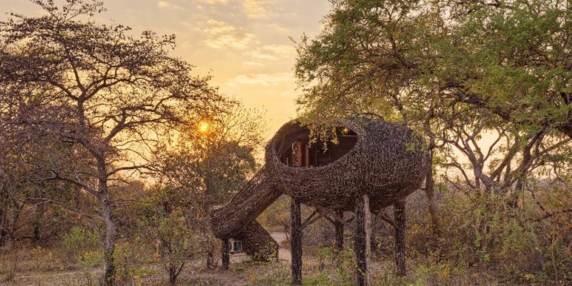 Safaris responsables : les meilleurs séjours durables en Zambie