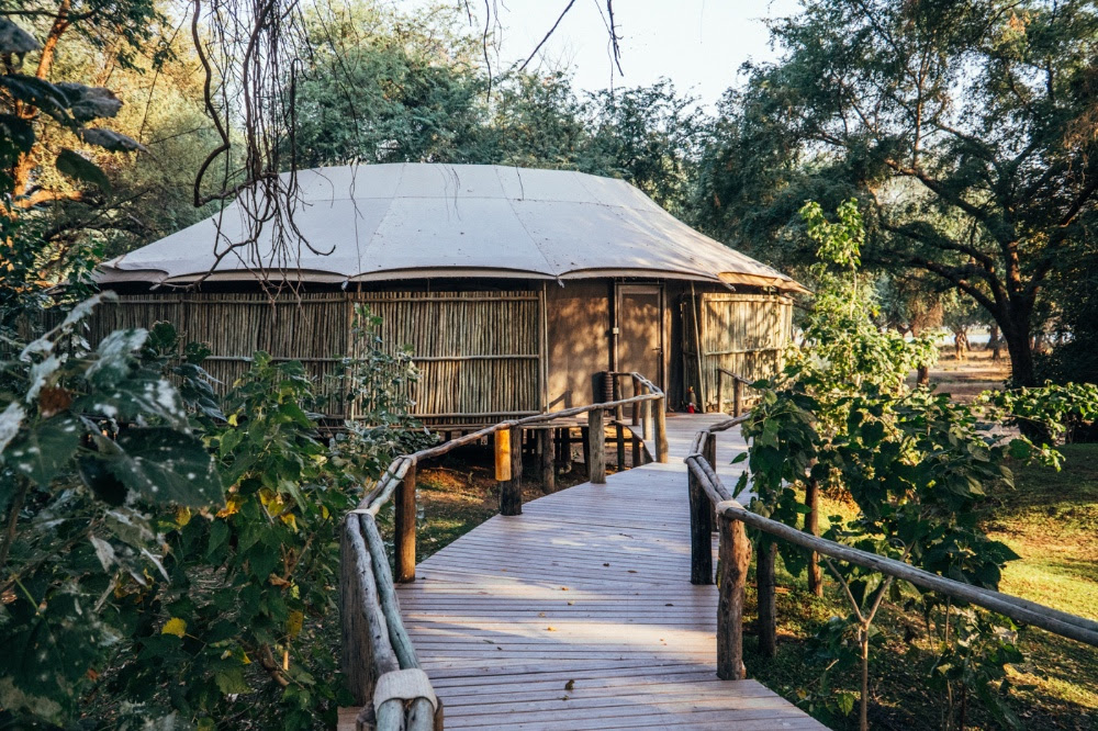 Safaris responsables : les meilleurs séjours durables en Zambie