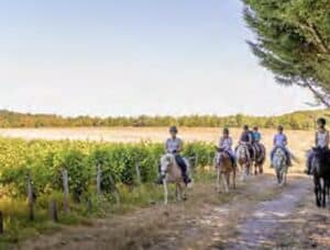 Tourisme équestre La Boucle des châteaux : découvrir des châteaux de la Loire à cheval