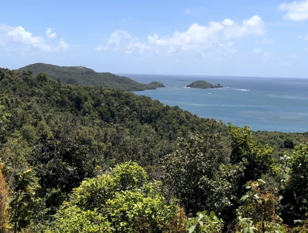 Martinique