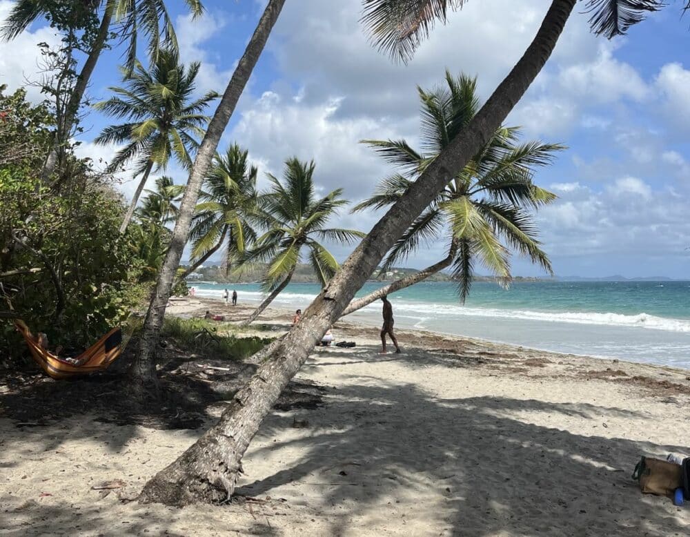 Martinique