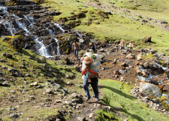 Reforestation des Andes