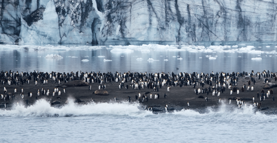 Hiver 2025-2026 : PONANT révèle toutes les facettes de l'Antarctique