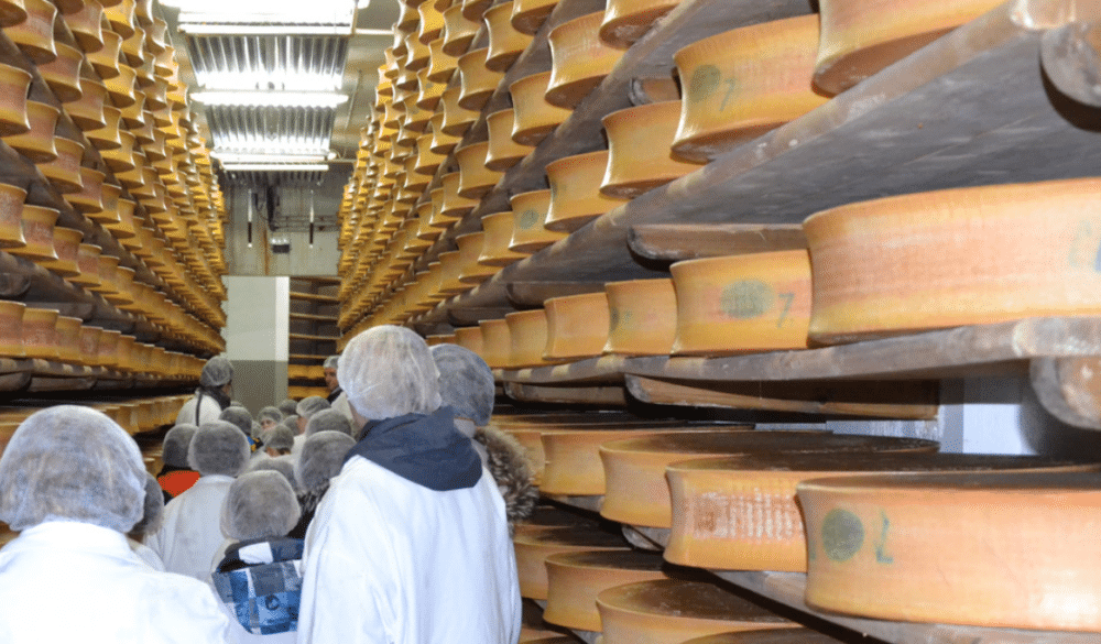 Les 20 ans de la Route des Fromages de Savoie A.O.P.-I.G.P.