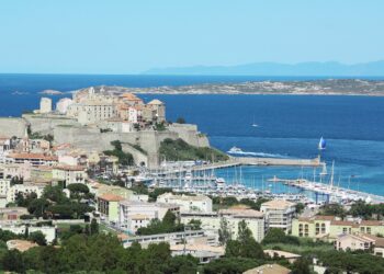 Calvi