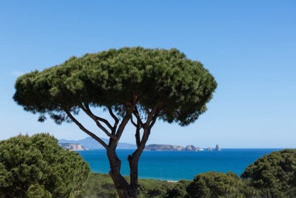  Le Sa Punta