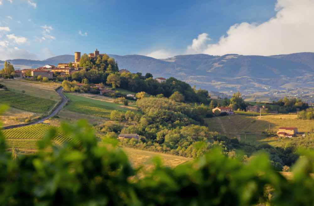 Le Beaujolais se réinvente