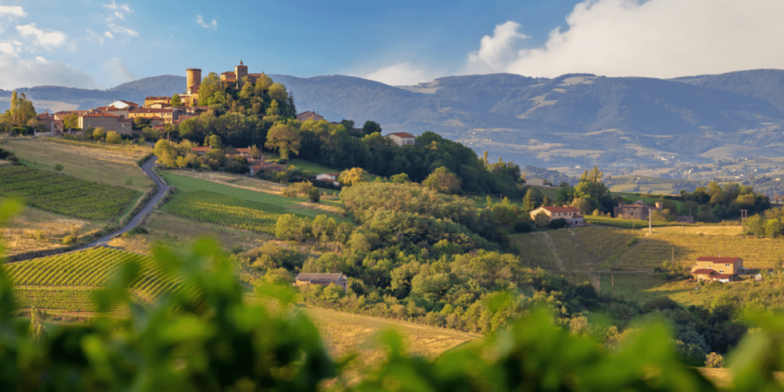 Le Beaujolais se réinvente