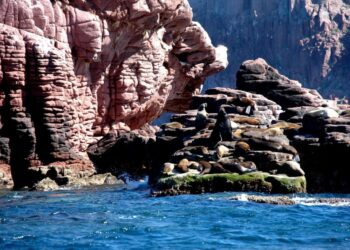 Basse Californie