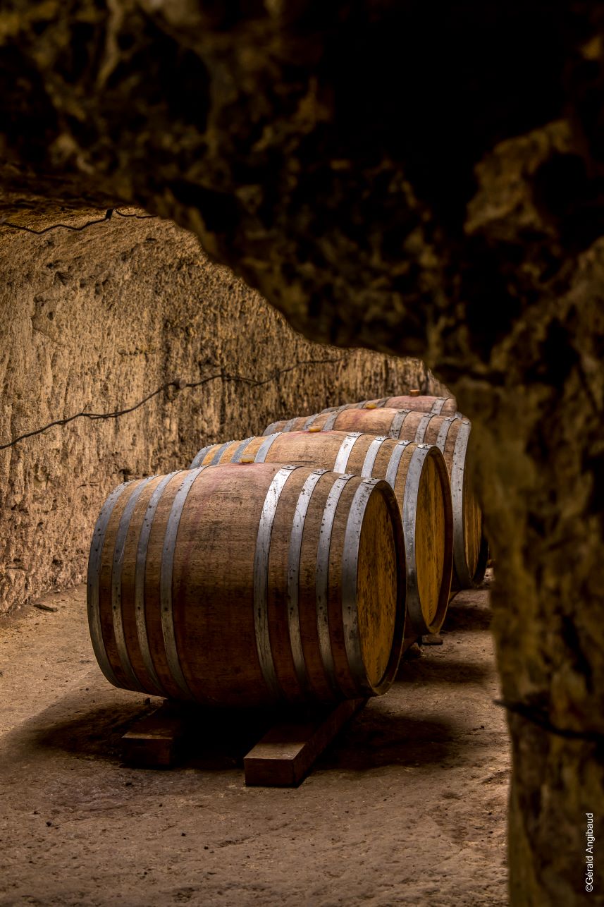 Cave barriques clos
