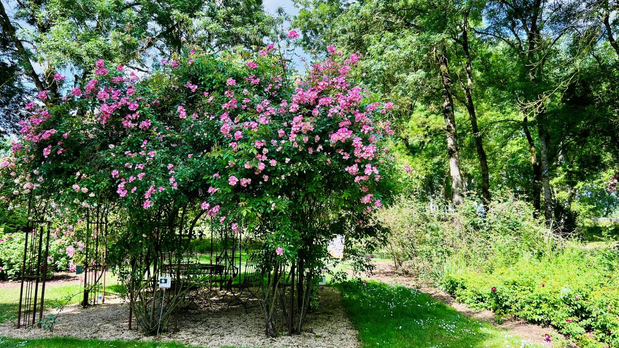 Les Chemins de la Rose