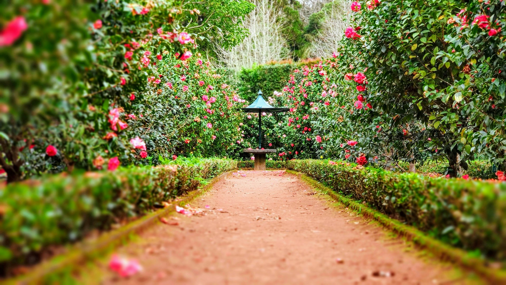 jardins