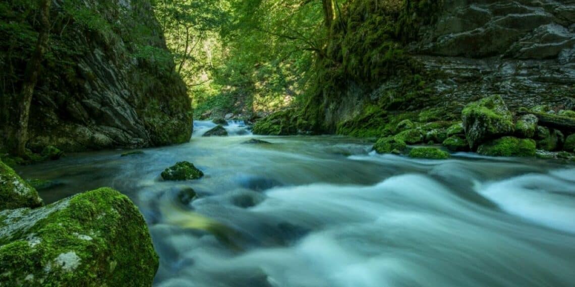 La Valserine est labellisée « Première Rivière Sauvage de France » - Pays de Gex