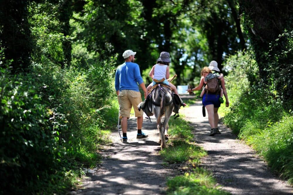 Randonnee avec ane-bate Cabanes a Truffes Loubressac Lot-Tourisme C. ORY