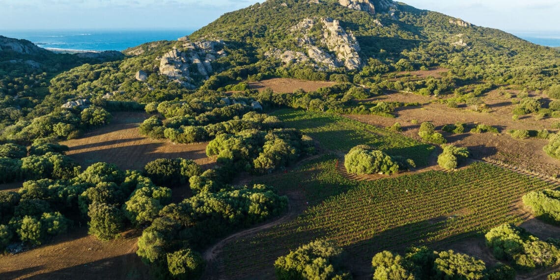 corse