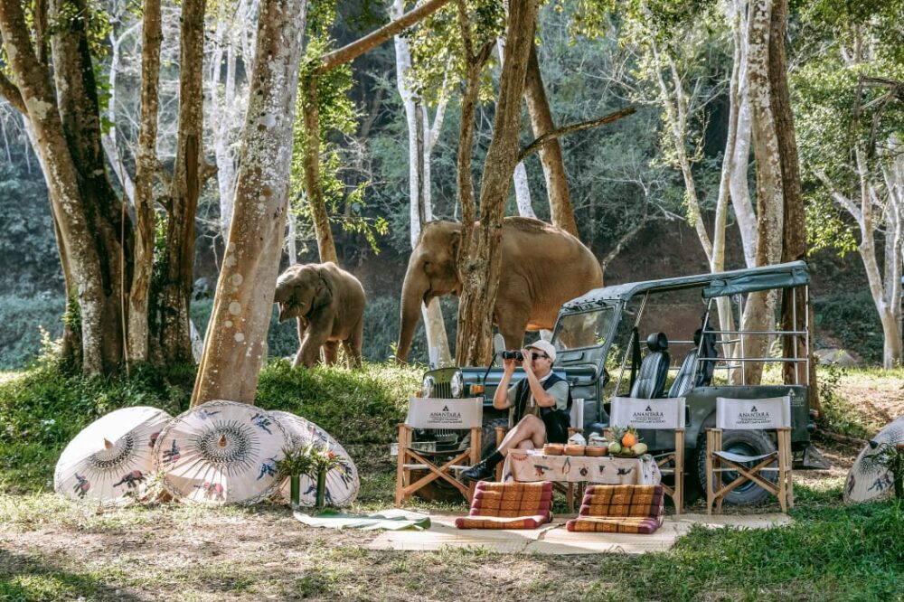 Anantara Golden Triangle Elephant Camp & Resort