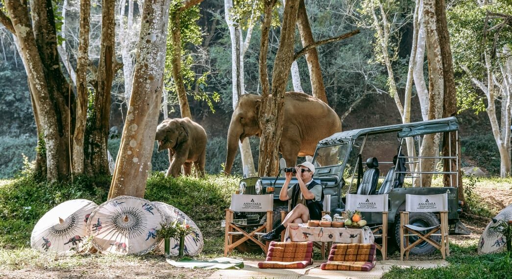 Anantara Golden Triangle Elephant Camp & Resort