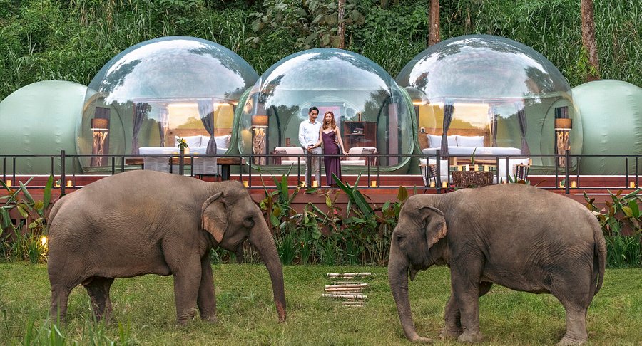 Anantara Golden Triangle Elephant Camp & Resort