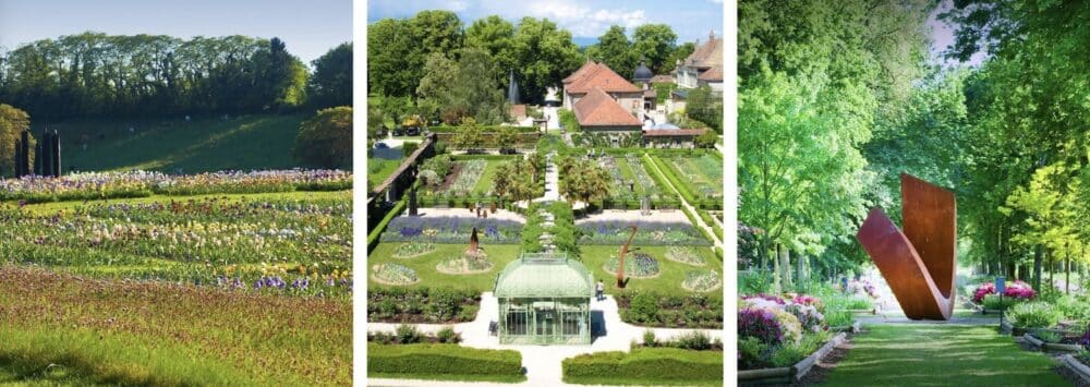 Jardin 