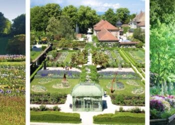 Jardin