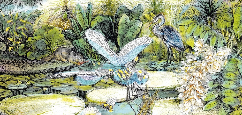 FETE DE LA NATURE 