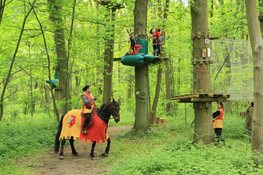 Sherwood Parc
