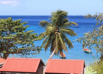 ile martinique
