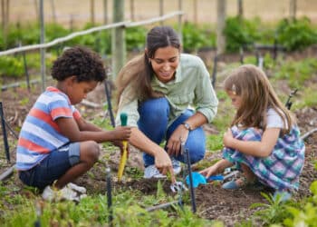 Teaching them about soil
